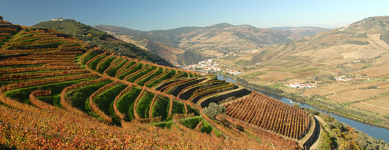 Real Companhia Velha