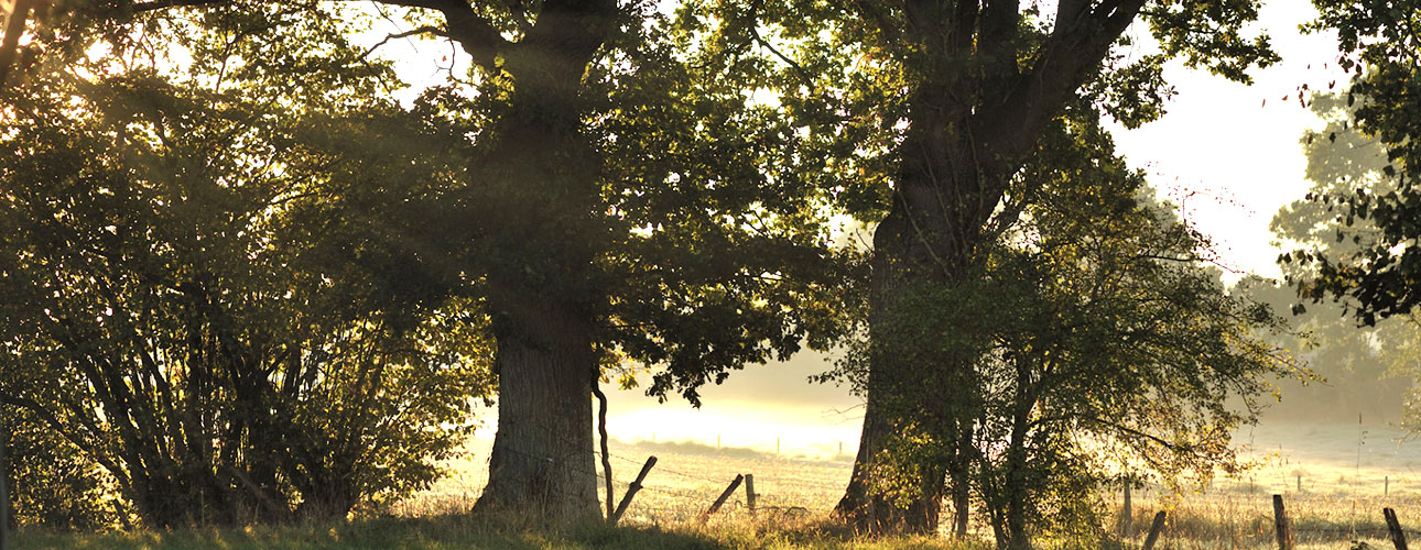 Witajcie w Pays d’Auge