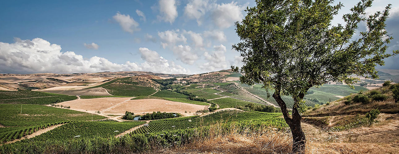 Tasca Conti D’almerita