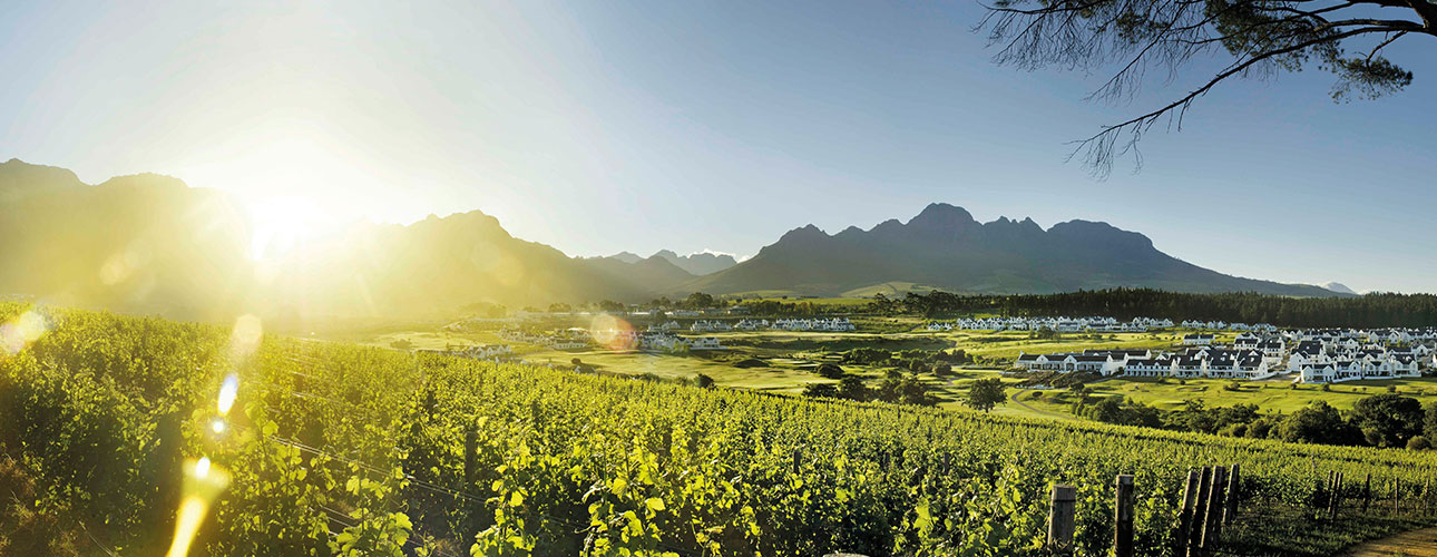 RPA - kraina różnorodnych terroir