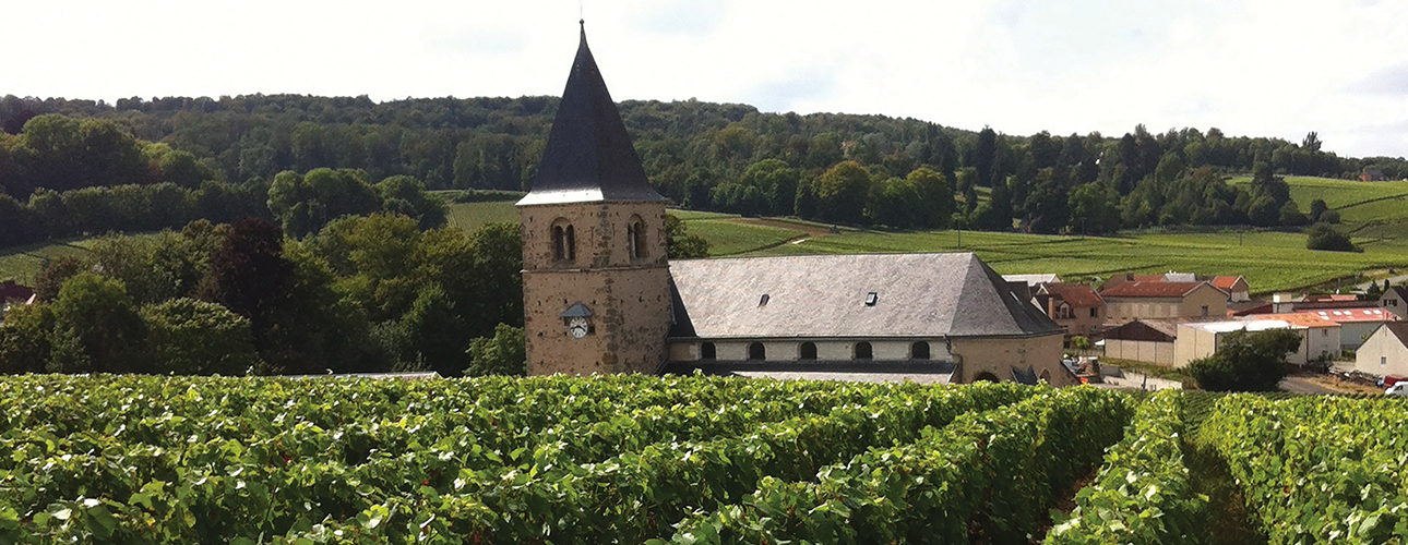 Szampan jest dobry na wszystko
