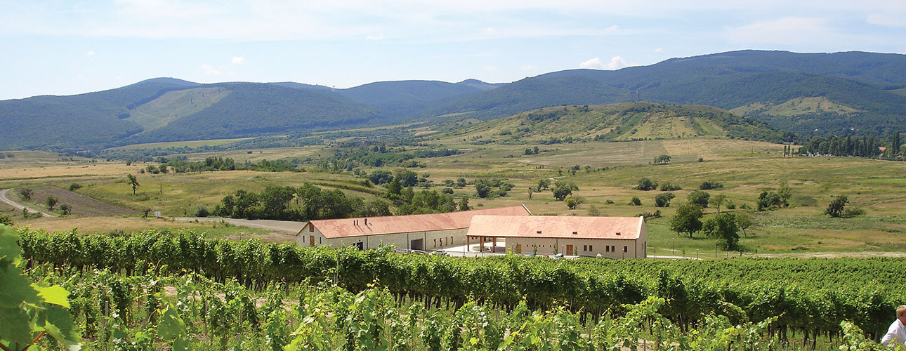 Béres Tokaji kiedyś i dziś