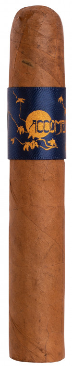 PRINCIPLE THE ACCOMPLICE BLUE CONNECTICUT ROBUSTO D-F-20 TT