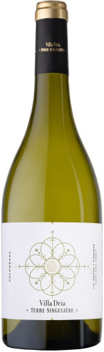 Villa Dria Terre Singuliere Colombard 2023