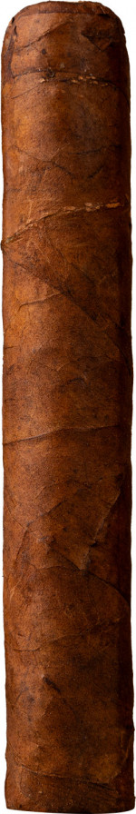 CHATEAU DIADEM MONKEY BUSINESS ROBUSTO D-F-10 TT