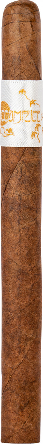 PRINCIPLE THE ACCOMPLICE CLASSIC WB LANCERO D-F-25